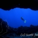 cavern_pww_h_0142_pal1683.jpg